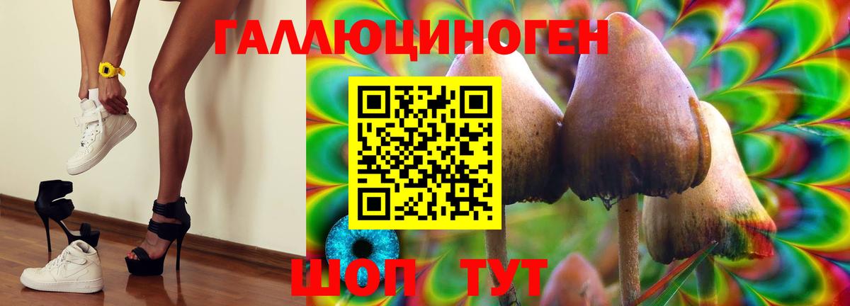 Псилоцибиновые грибы прущие грибы Отрадное
